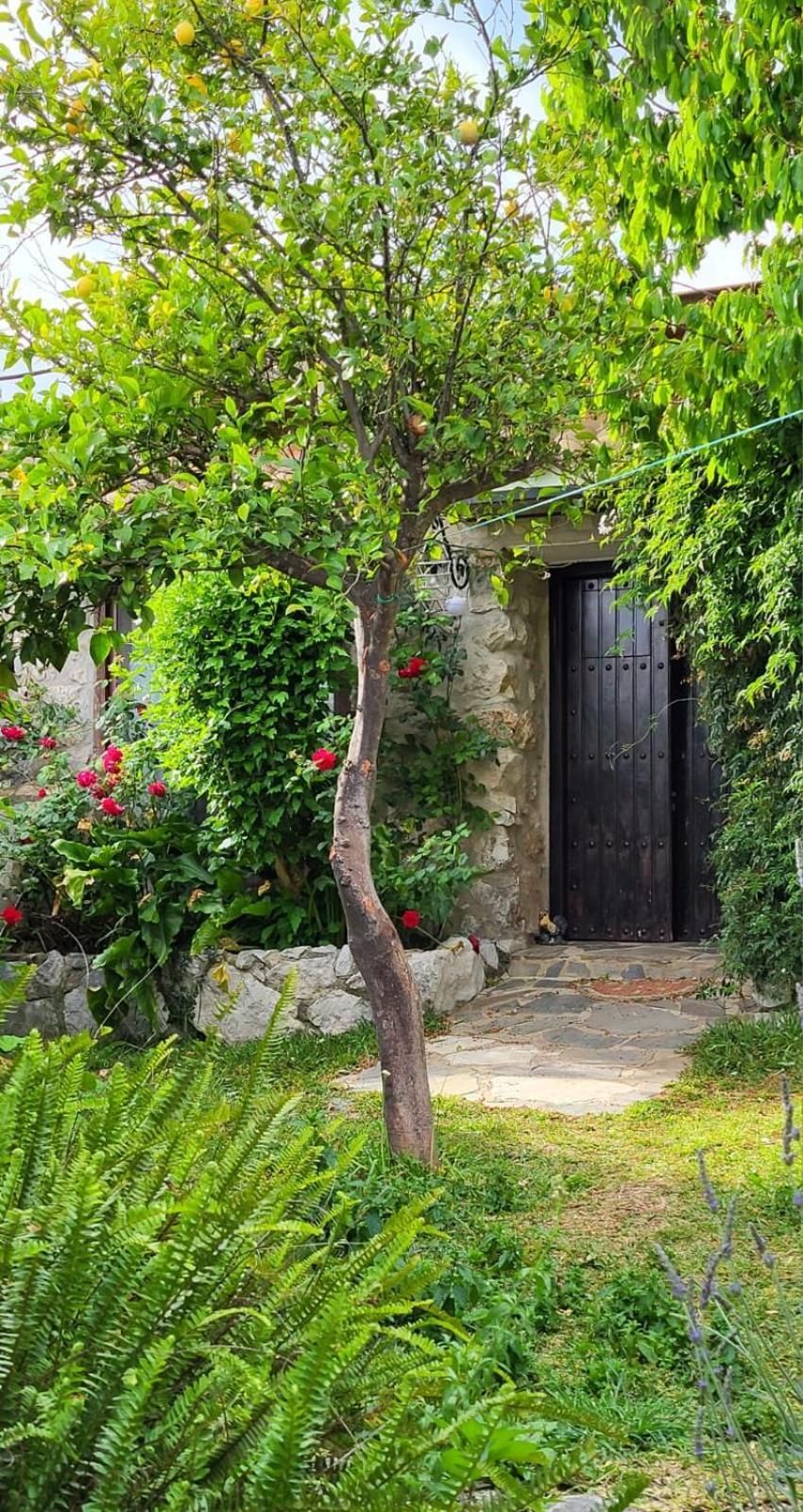 Villa Casa Nani Benaocaz Esterno foto
