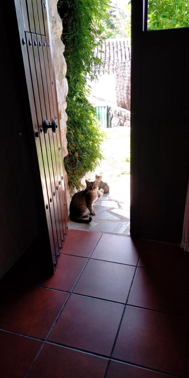Villa Casa Nani Benaocaz Esterno foto